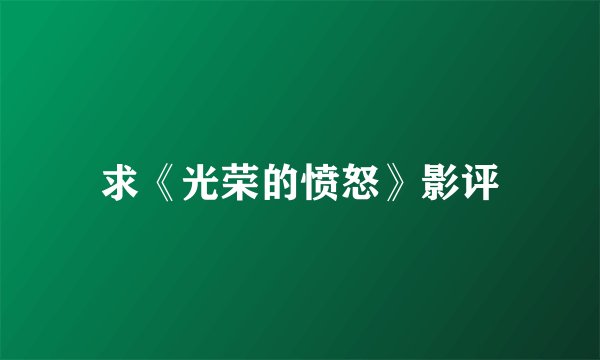 求《光荣的愤怒》影评