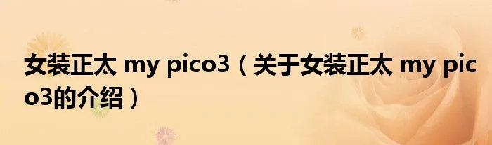 女装正太 my pico3（关于女装正太 my pico3的介绍）