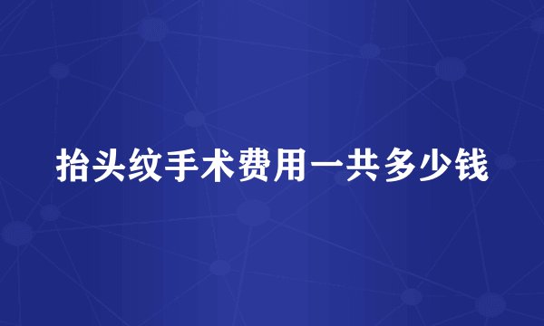 抬头纹手术费用一共多少钱