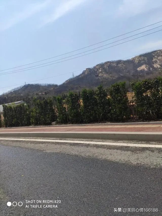 西海岸大火怎么着起来的?