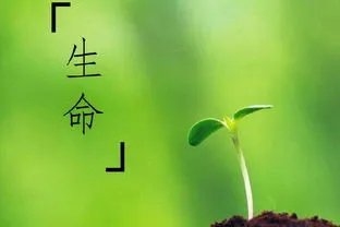 少女跳楼身亡楼下父亲欲接住被砸死，这是如何惨痛的事情