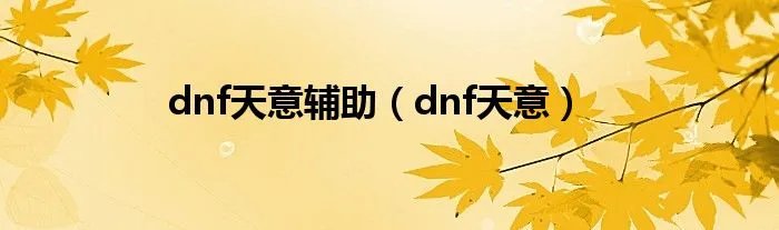 dnf天意辅助（dnf天意）