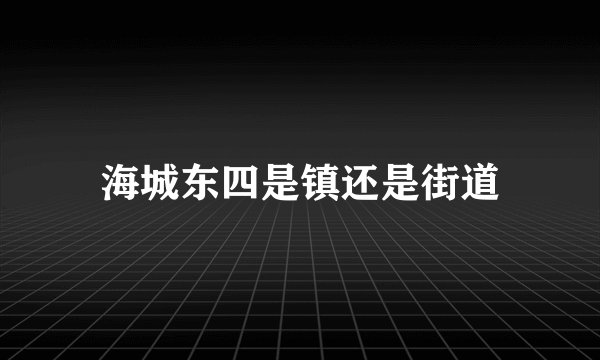 海城东四是镇还是街道