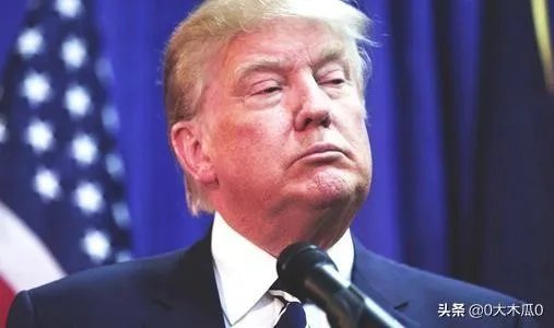 美国人民是抱着特朗普的大腿哭呢？还是跳起来挠他的脸？