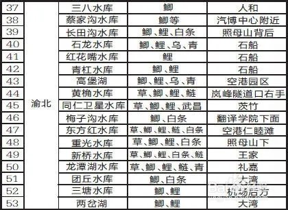 重庆主城钓鱼哪里钓更给力？