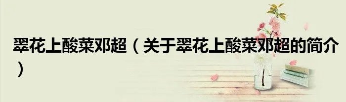 翠花上酸菜邓超（关于翠花上酸菜邓超的简介）