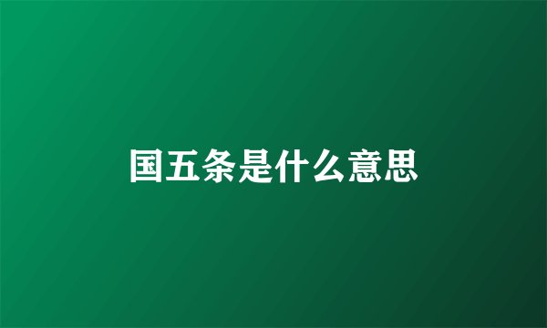 国五条是什么意思