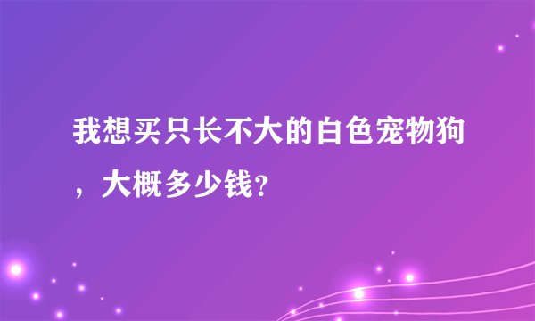 我想买只长不大的白色宠物狗，大概多少钱？