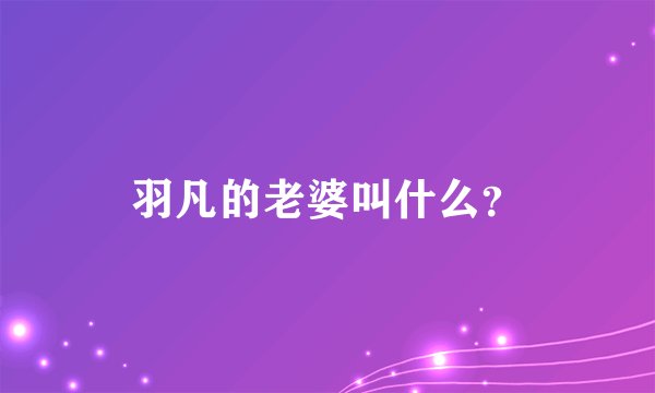 羽凡的老婆叫什么？