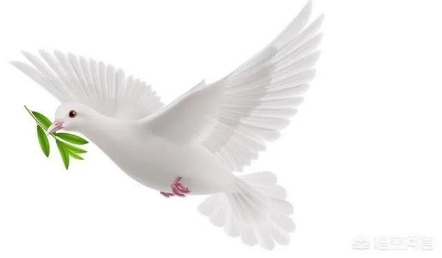 什么是二元化学武器?