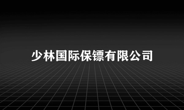 少林国际保镖有限公司