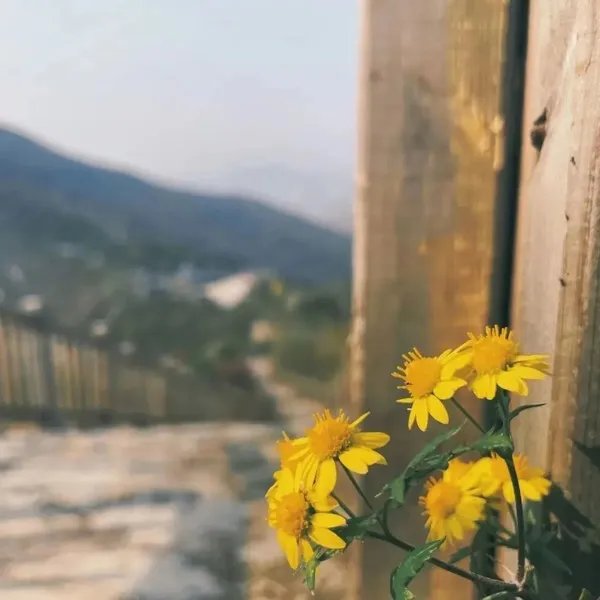 五一去哪玩？北京这7个地方景美、人少、好出片！