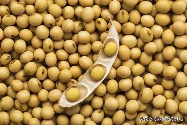 疫情尚未结束，多国禁止粮食出口，老百姓需要囤积粮食吗？