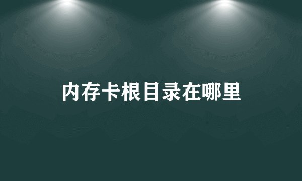 内存卡根目录在哪里