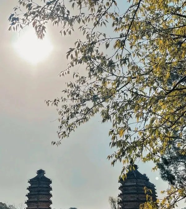 五一去哪玩？北京这7个地方景美、人少、好出片！