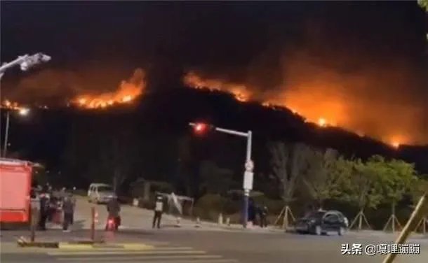 西海岸大火怎么着起来的?