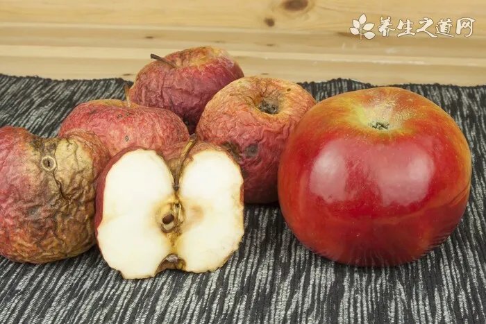 野生金蝉多少钱一斤（金蝉种子一亩地种多少）