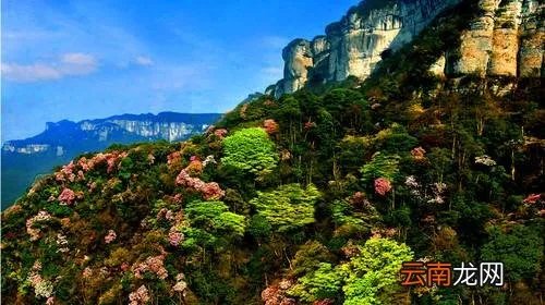 重庆金佛山门票多少钱