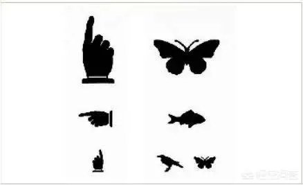 为什么视力表要用E来测试力呢？为什么不用其他字母或符号呢？