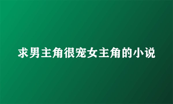 求男主角很宠女主角的小说