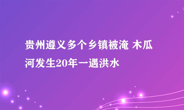 贵州遵义多个乡镇被淹 木瓜河发生20年一遇洪水