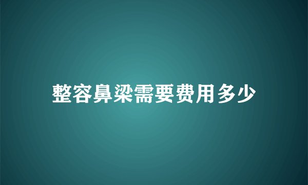 整容鼻梁需要费用多少