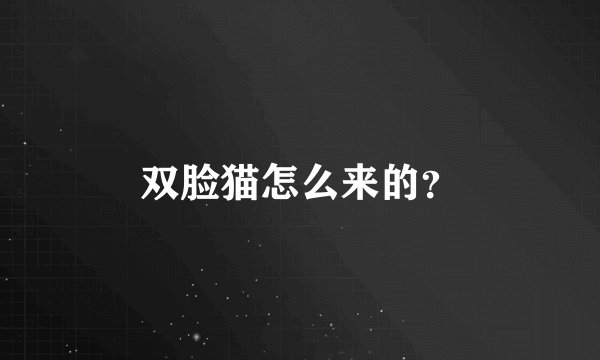 双脸猫怎么来的？