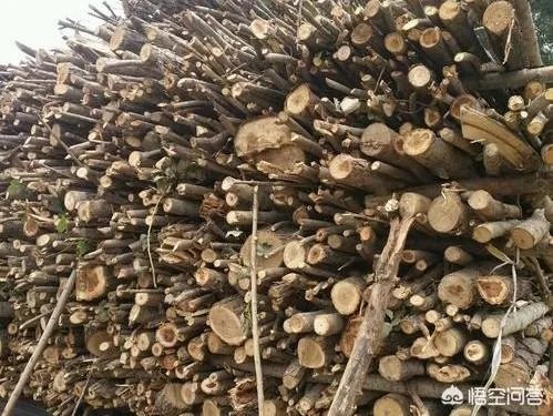 买木材能转多少钱