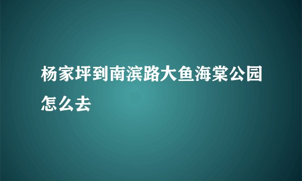 杨家坪到南滨路大鱼海棠公园怎么去