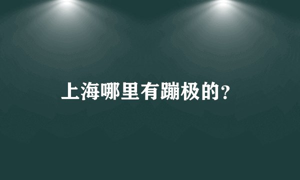 上海哪里有蹦极的？