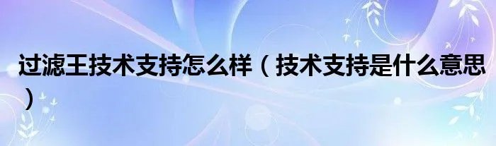 过滤王技术支持怎么样（技术支持是什么意思）