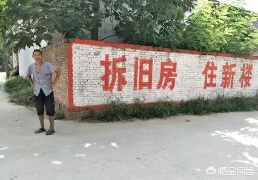 买木材能转多少钱