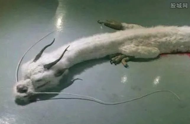 震惊世界！曝光重庆大洪水真龙照片 有图有真相