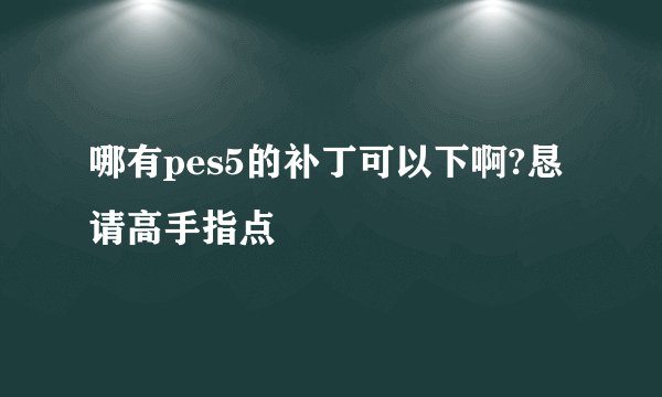 哪有pes5的补丁可以下啊?恳请高手指点