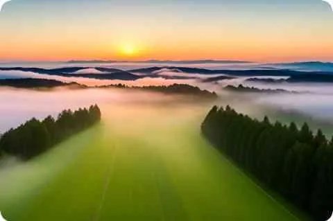 孟十朵详细资料大全