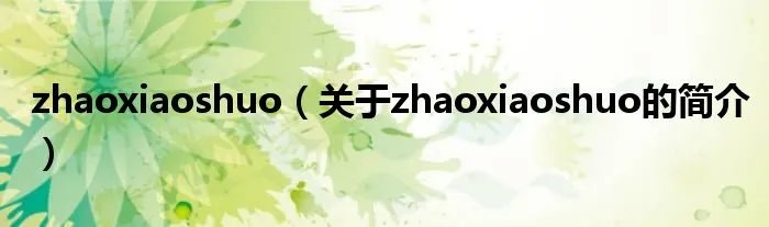 zhaoxiaoshuo（关于zhaoxiaoshuo的简介）