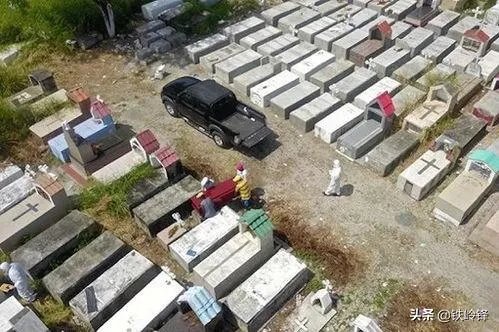 新冠确诊超61万,巴西总统也威胁要退出世卫,对此你怎么看?