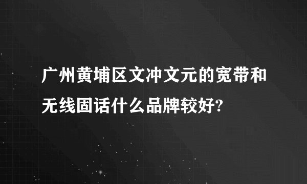 广州黄埔区文冲文元的宽带和无线固话什么品牌较好?