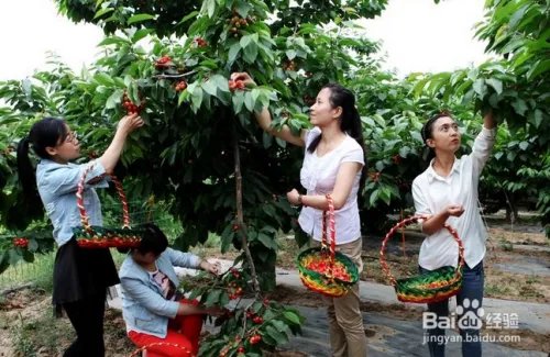 端午节怎么发朋友圈？