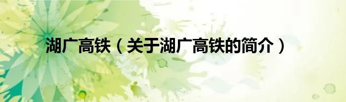 湖广高铁（关于湖广高铁的简介）