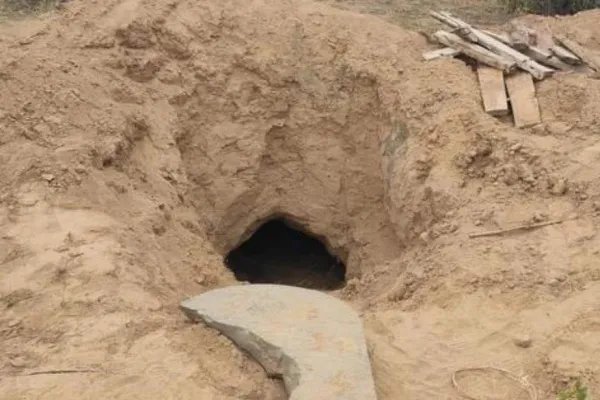 陕西活埋母亲已经去世了，你认为他儿子会被怎么处罚？