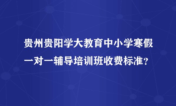 贵州贵阳学大教育中小学寒假一对一辅导培训班收费标准？