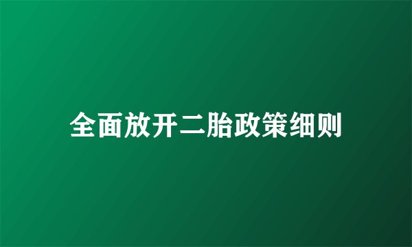 全面放开二胎政策细则
