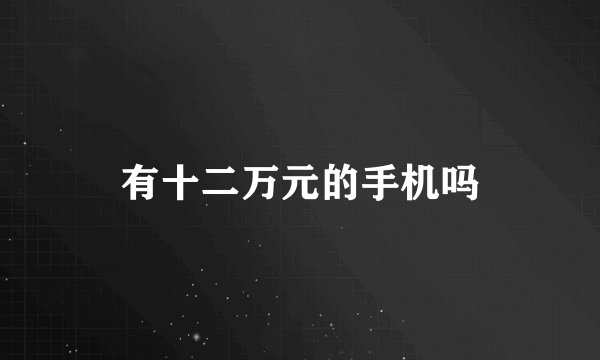 有十二万元的手机吗