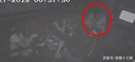 高云翔事件中王晶是哪个王晶揭秘 王晶作证曝光关键细节案件反转