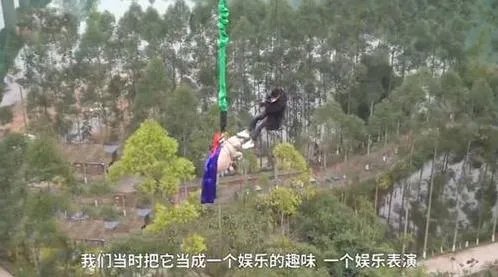 蹦极猪被送屠宰场 肥猪现场蹦极照曝光