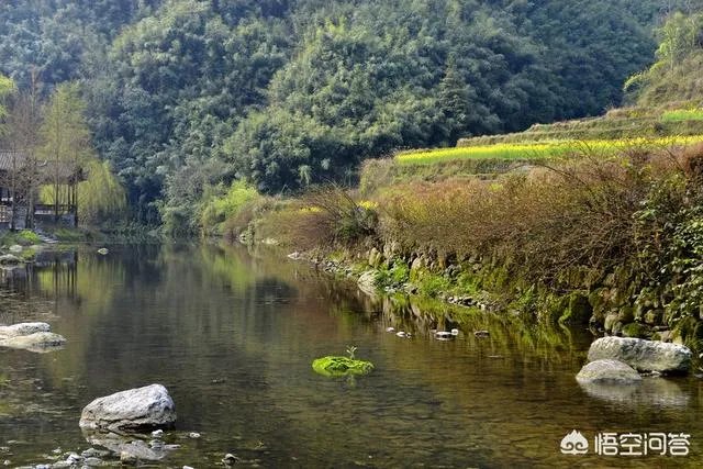 如何看待农村的留守儿童问题？