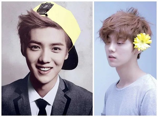 “傻狍子”鹿晗巡演燃爆广州 深情表白粉丝“直到永远”