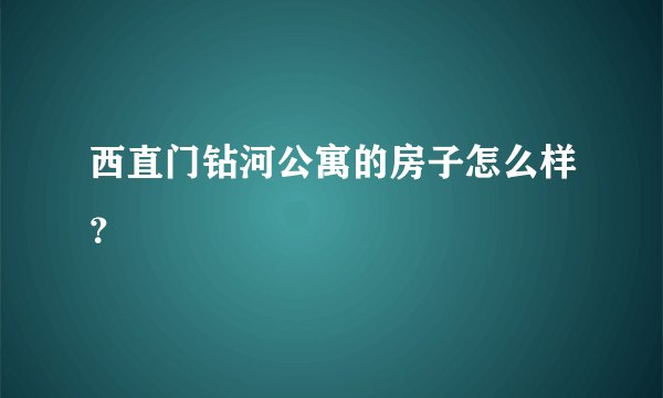 西直门钻河公寓的房子怎么样？