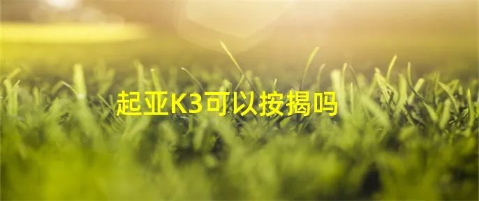 起亚K3可以按揭吗